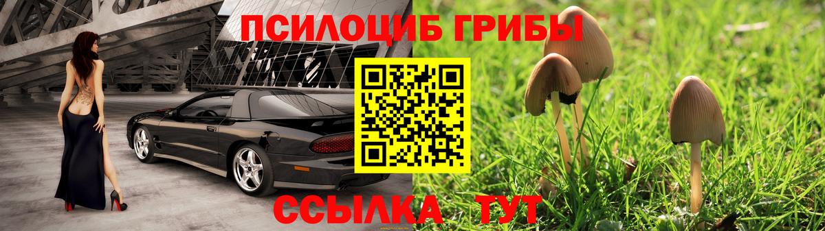Галлюциногенные грибы Magic Shrooms Великие Луки